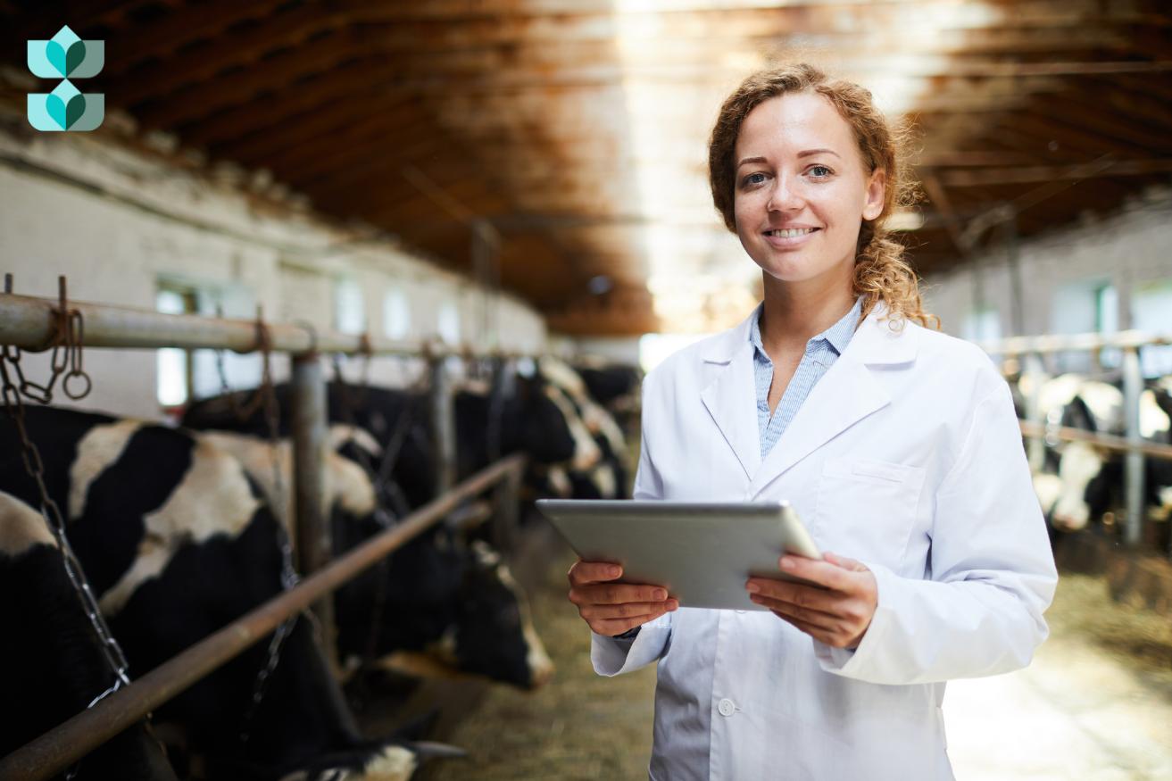 Untitled design (30)