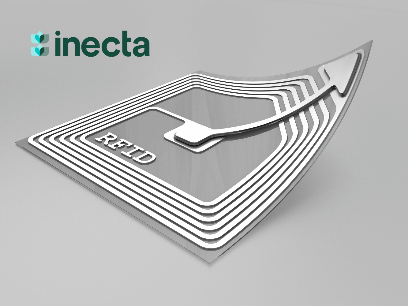 Untitled design (81)