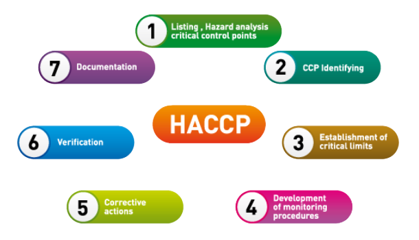 HACCP 7 principles diagram