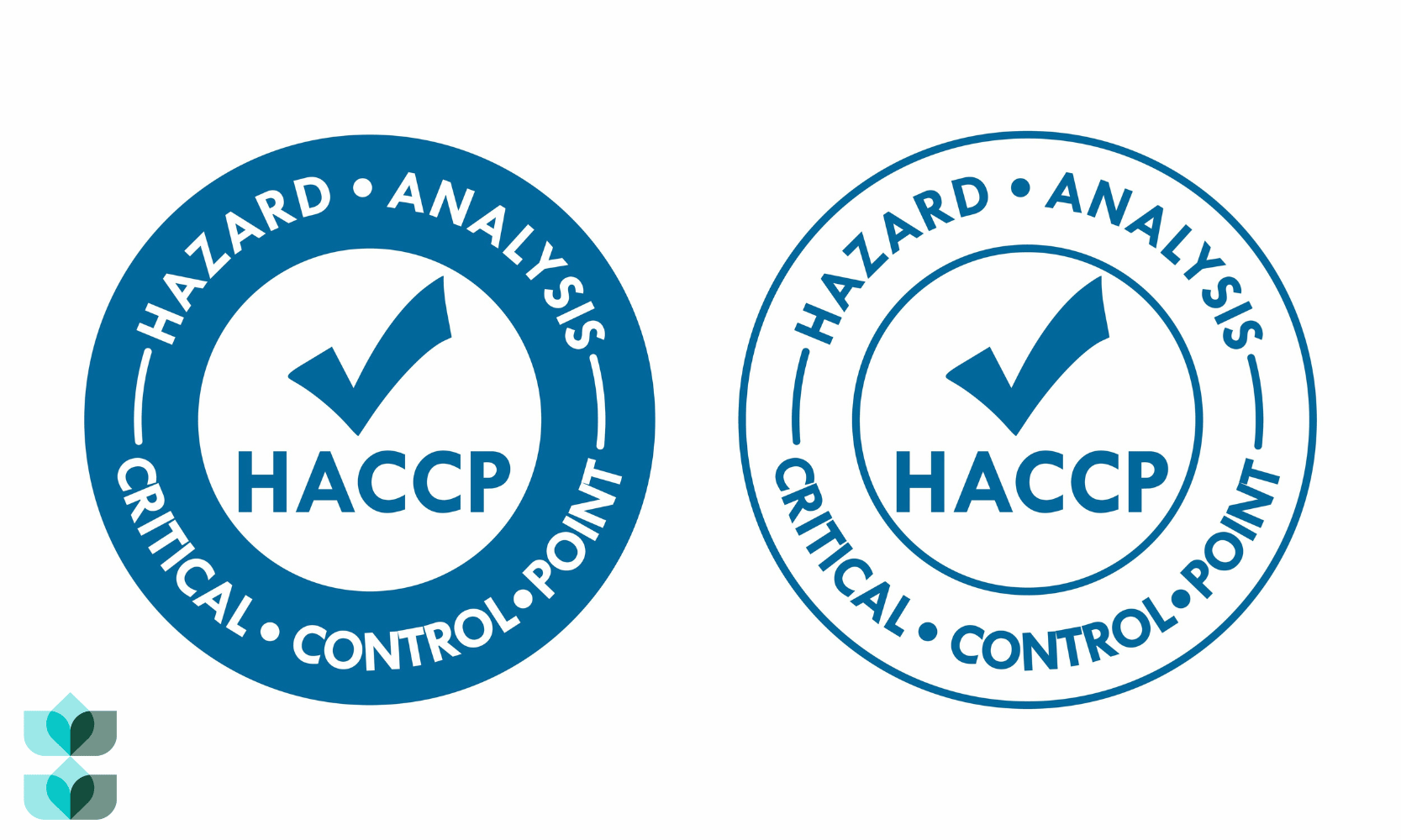 Untitled design (65)