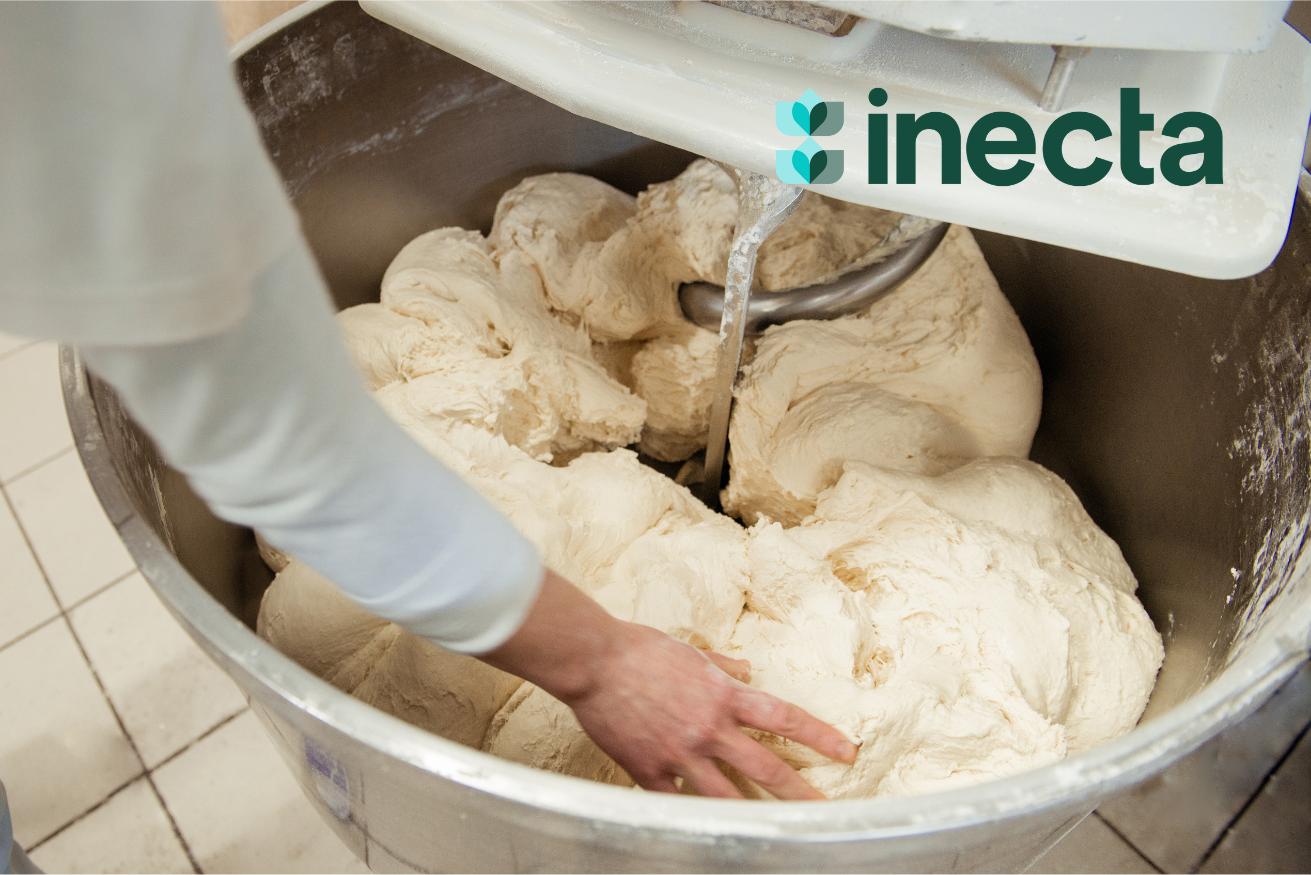 Untitled design (14)